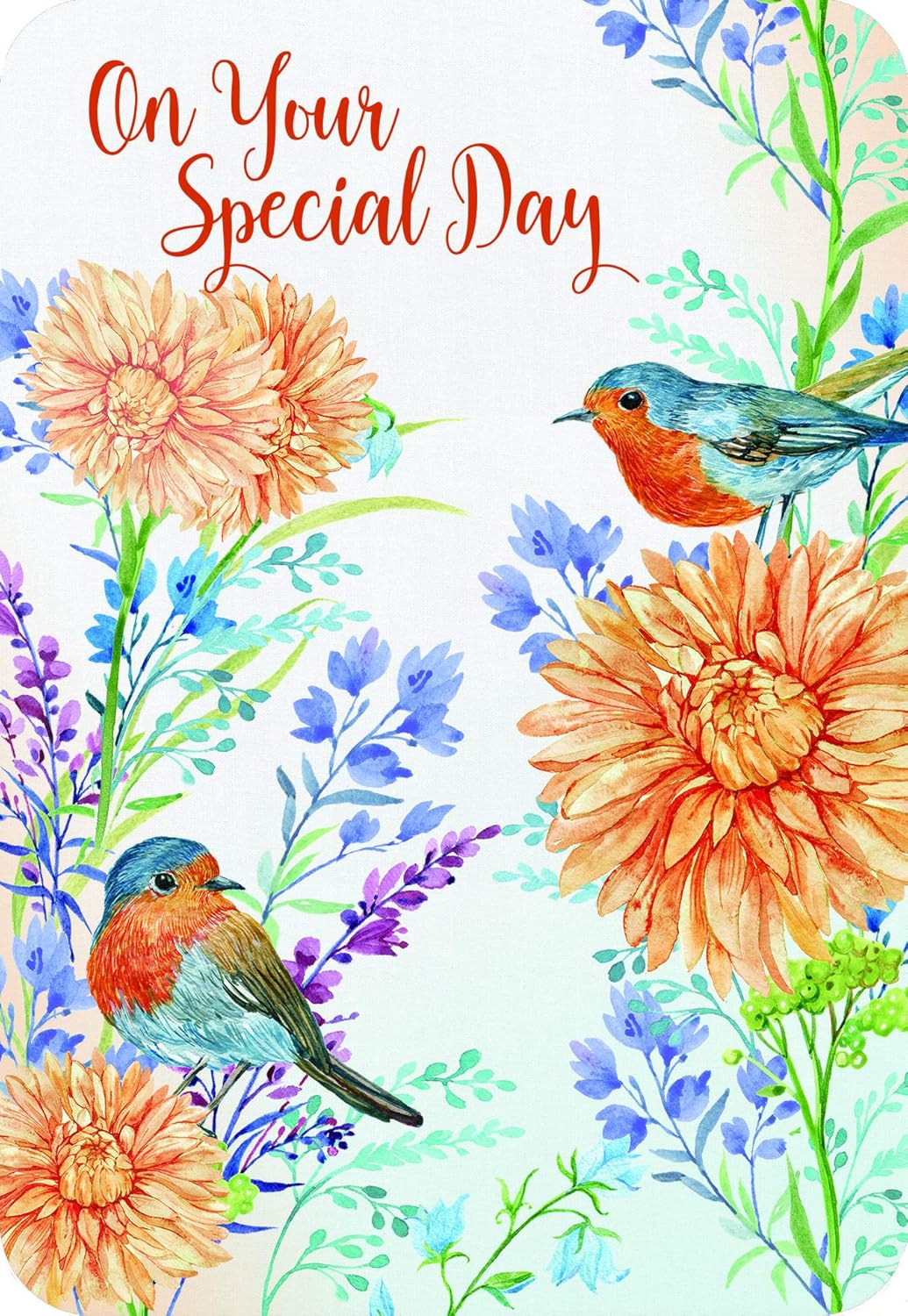 Faithfully Yours Birthday Box Cards - Song Birds
