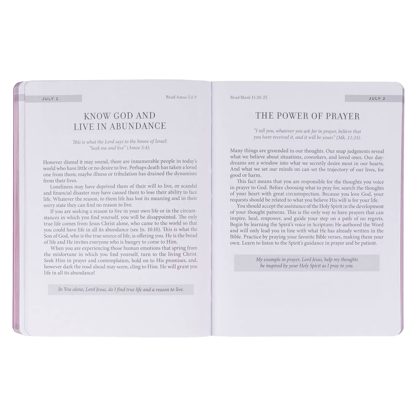 New Beginnings New Beginnings Pink Sunshine Field Softcover Devotional Softcover Devotional