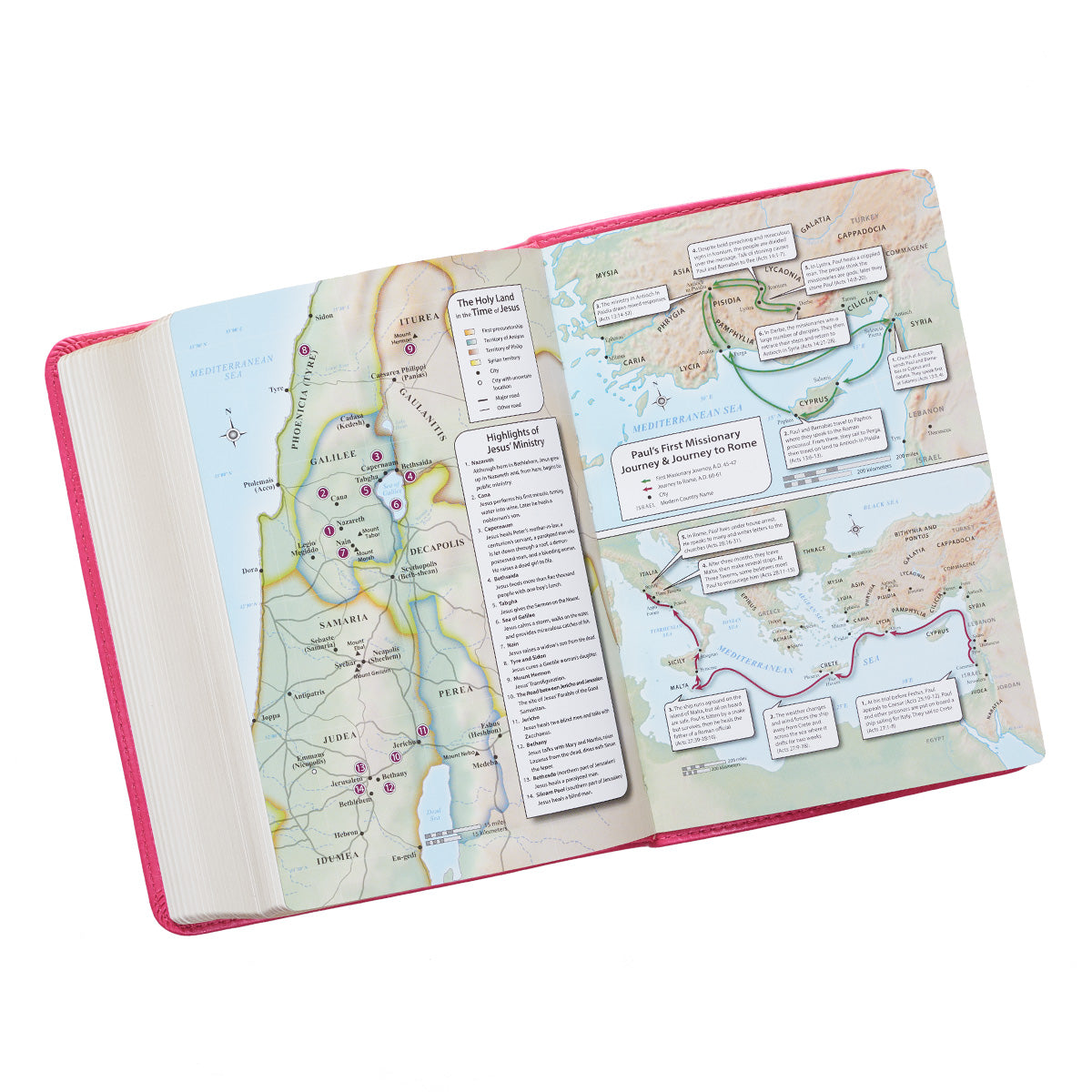 Pink Faux Leather Large Print Compact King James Version Bible