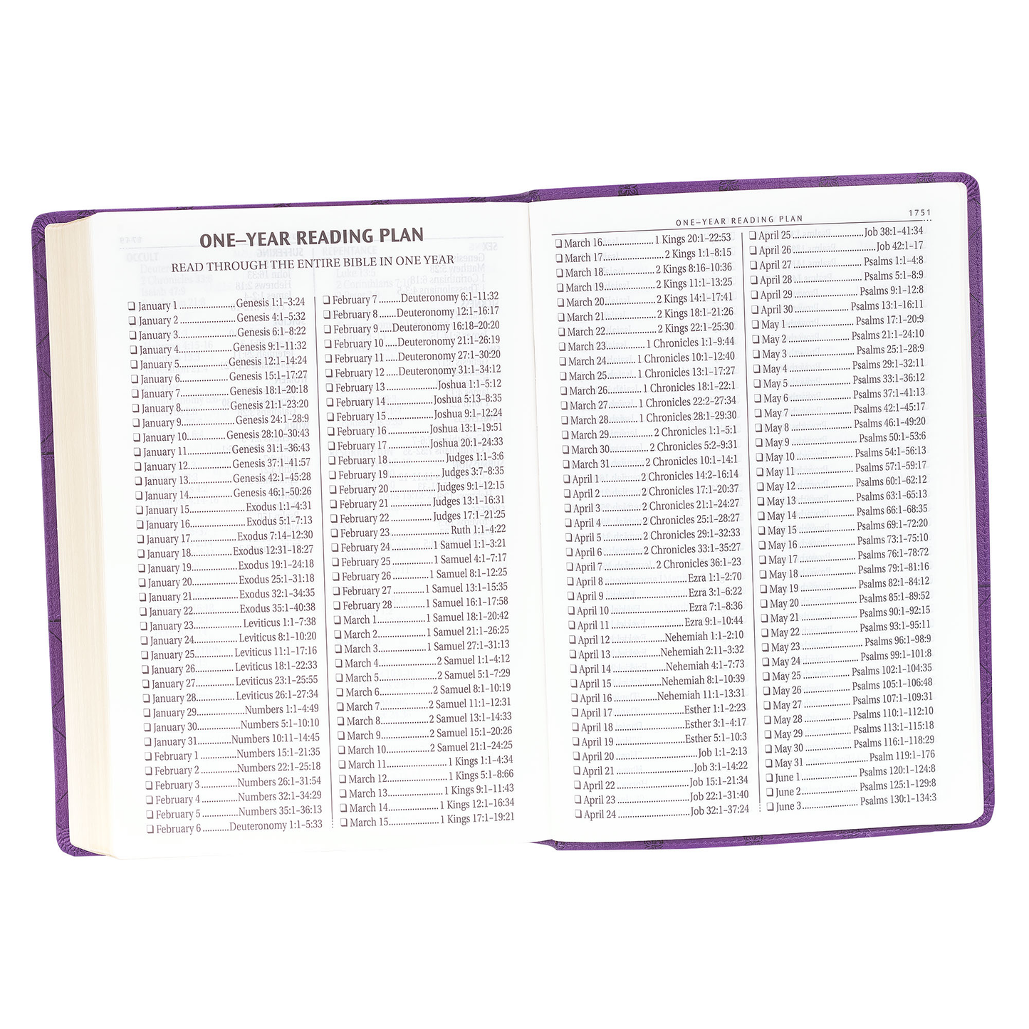 Purple Faux Leather Super Giant Print King James Version Bible