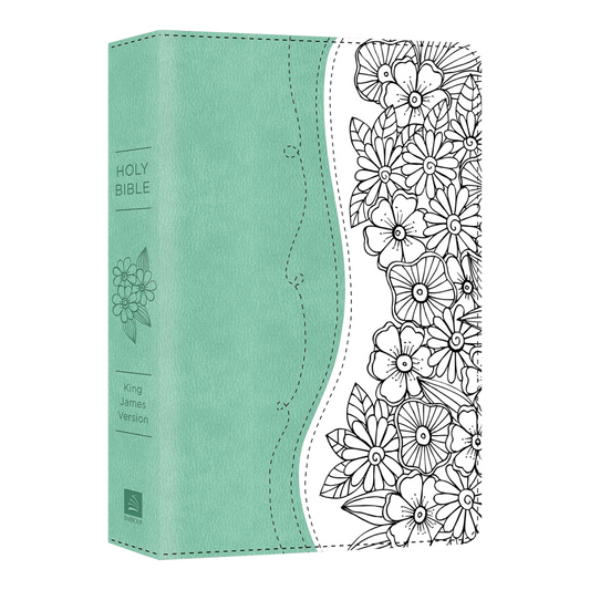 Holy Bible The Personal Reflections KJV Bible