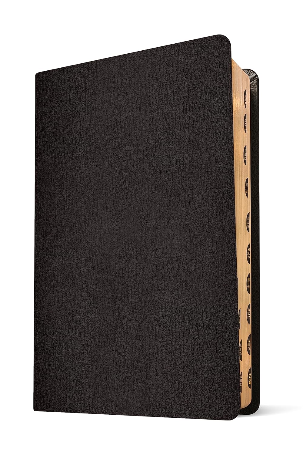 Genuine Leather Bibles-87