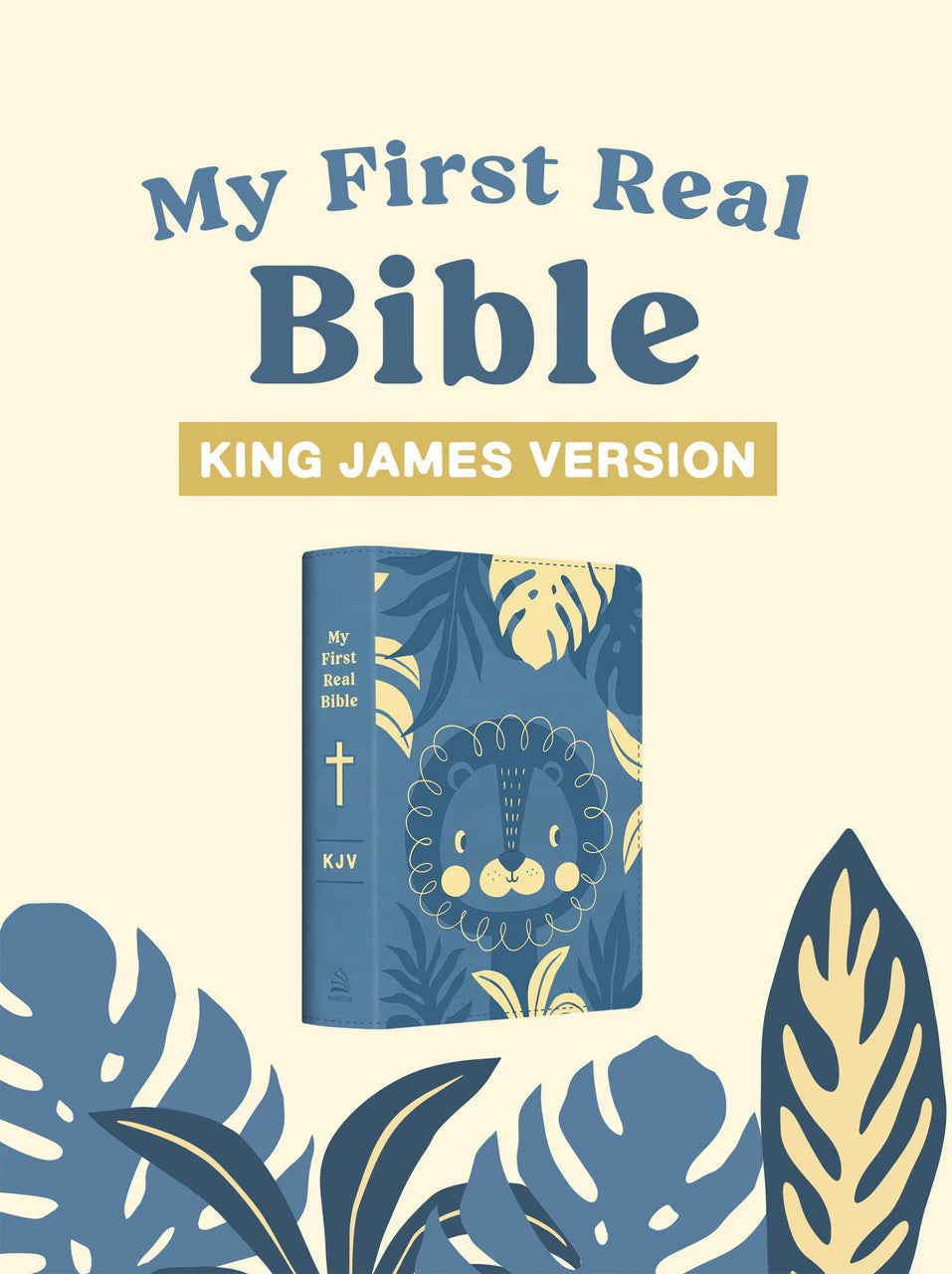 Boy's Bibles