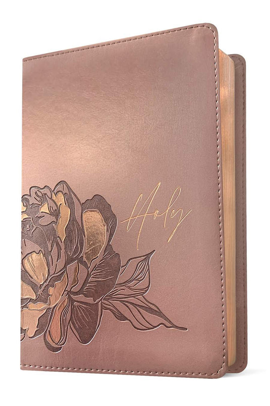 Compact BIbles-7