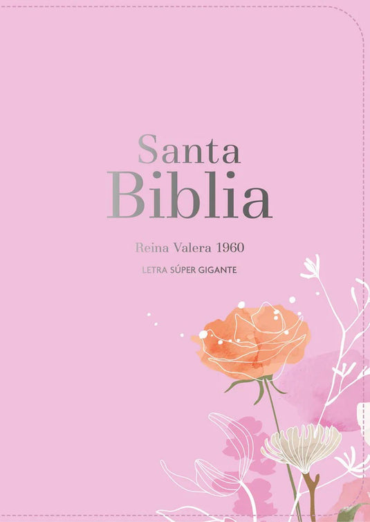 Spanish BIbles-13