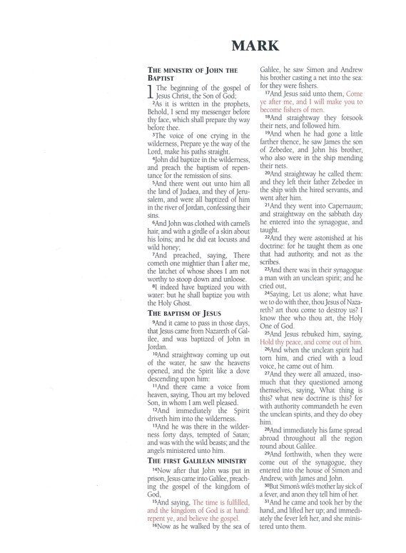 God's Word, My Thoughts KJV Bible for Teen Girls