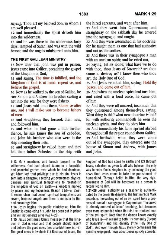 The KJV Study Bible, Large Print [Olive Branches]