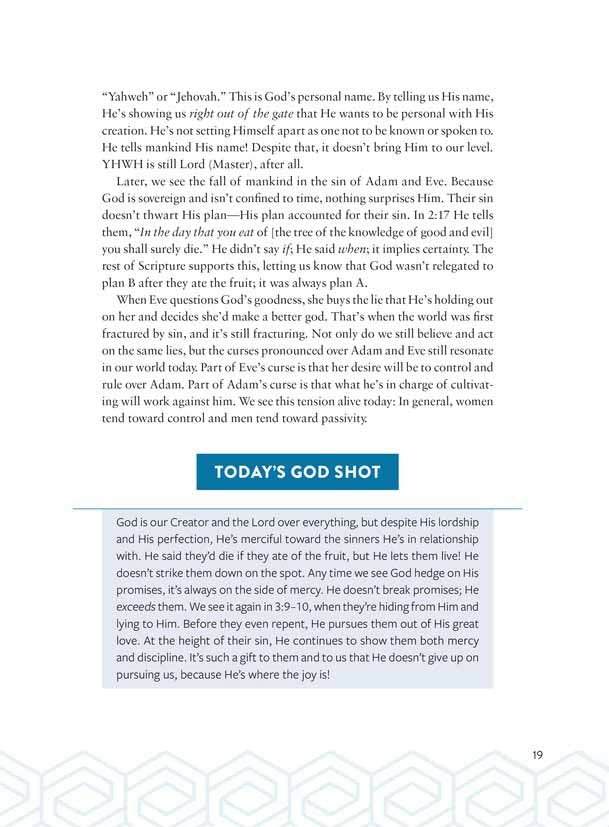 Brown - The Bible Recap Deluxe Edition: A One-Year Guide to Reading and Understanding the Entire Bible