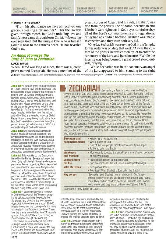 NLT Chronological Life Application Study Bible