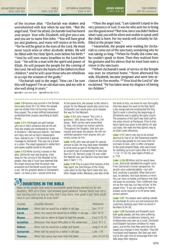 NLT Chronological Life Application Study Bible