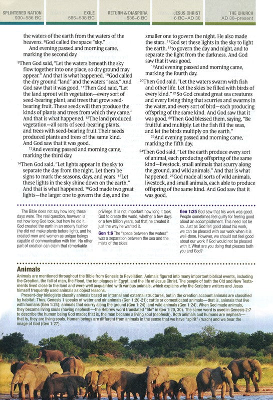 NLT Chronological Life Application Study Bible
