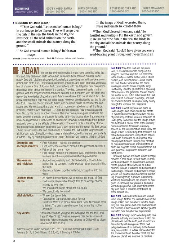 NLT Chronological Life Application Study Bible
