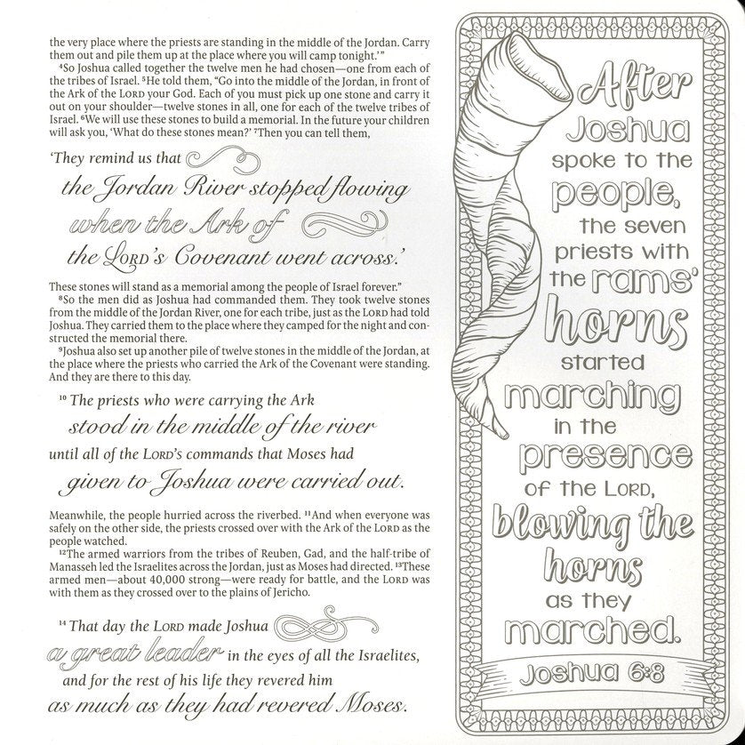 Inspire: Joshua, Judges & Ruth By: Tyndale