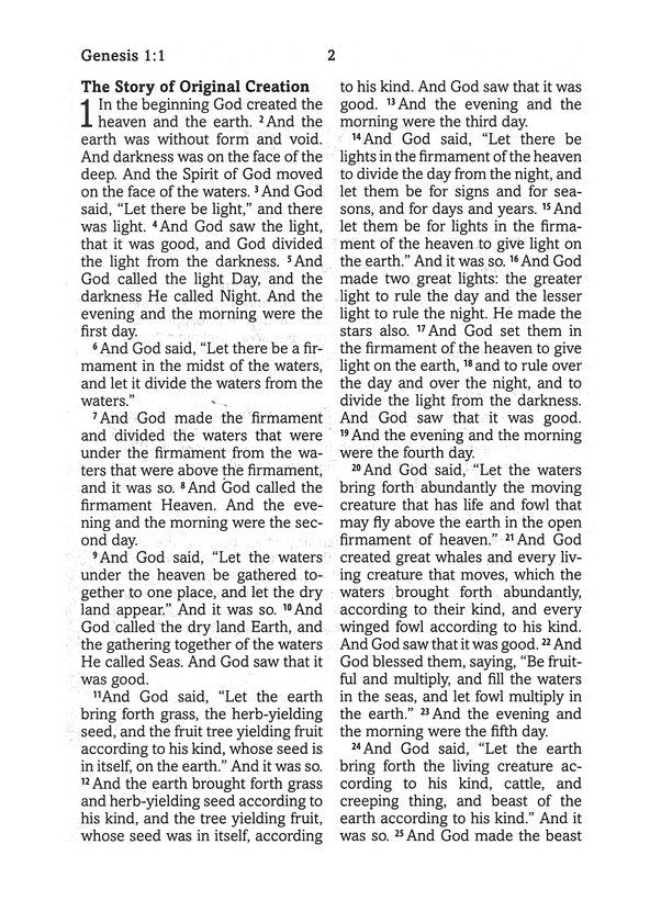 Simplified KJV--Large Print [Plum & Paisley]