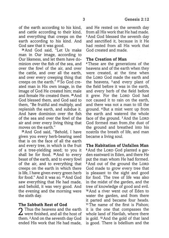 Simplified KJV--Large Print [Plum & Paisley]