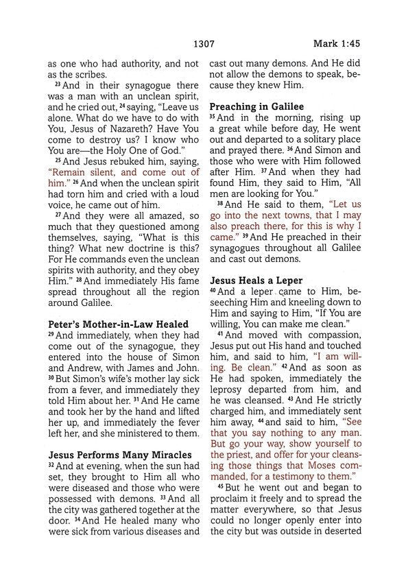 Simplified KJV--Large Print [Plum & Paisley]