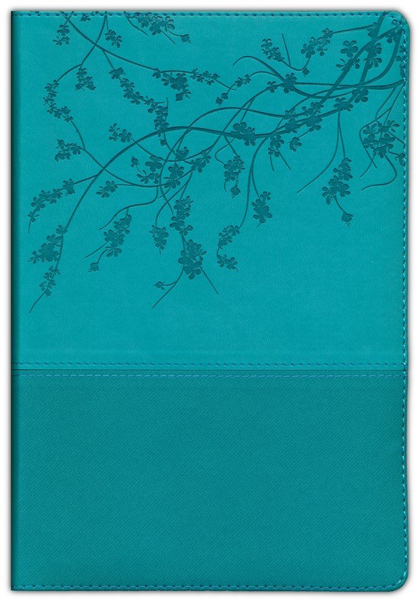 A Woman After God's Own Heart Bible - Teal
