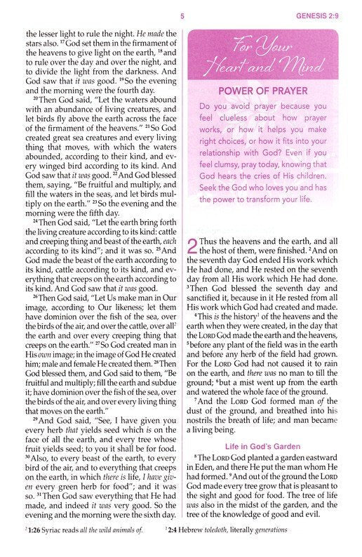 A Woman After God's Own Heart Bible - Teal