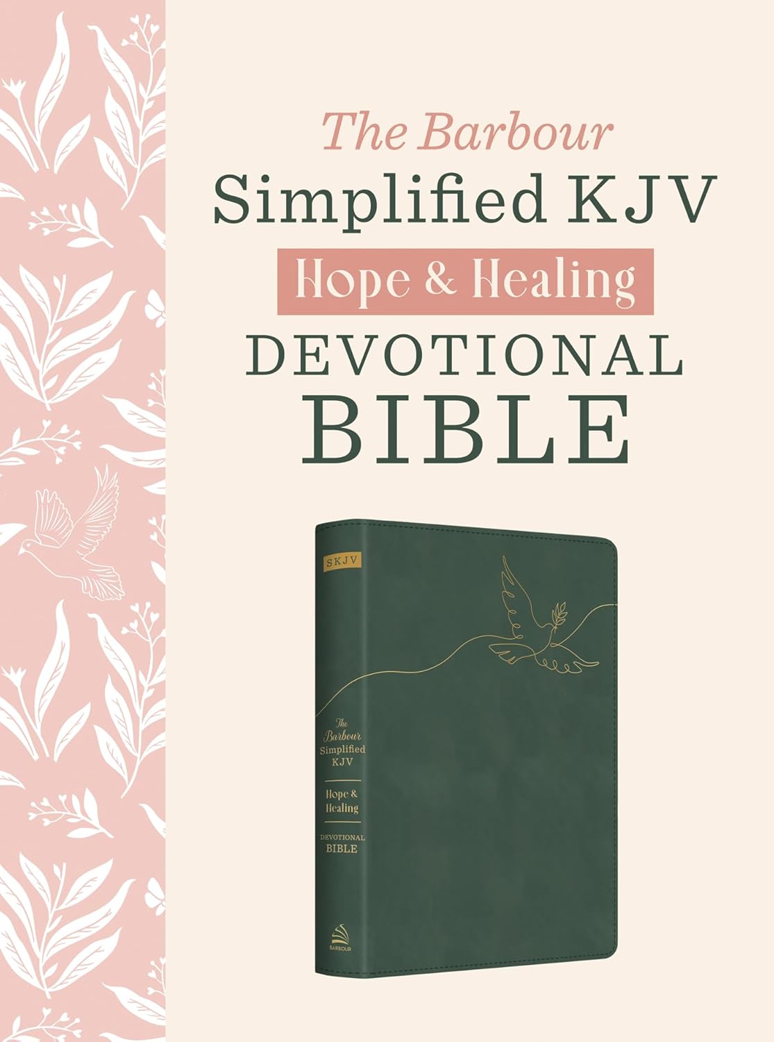 Simplified KJV Bible Hope and Healing