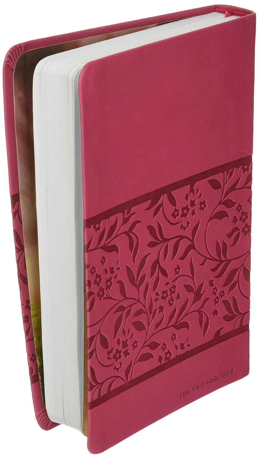 KJV Deluxe Gift & Award Bible (DiCarta Pink) (King James Bible) Imitation Leather