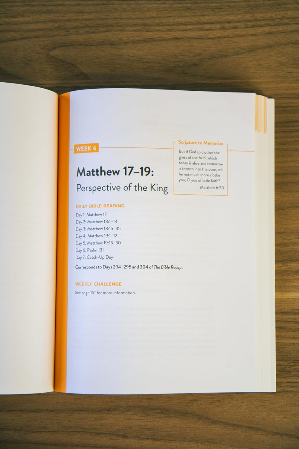 Knowing Jesus as King A 10-Session Study on the Gospel of Matthew - Tara-Leigh Cobble
