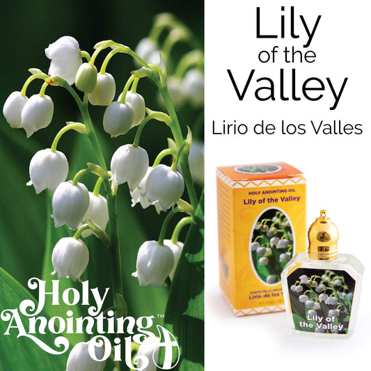 Lily of the Valley Holy Land Anointing Oil from Israel, 1/2 oz Roller Bottle from Jerusalem, Locally Sourced Essences