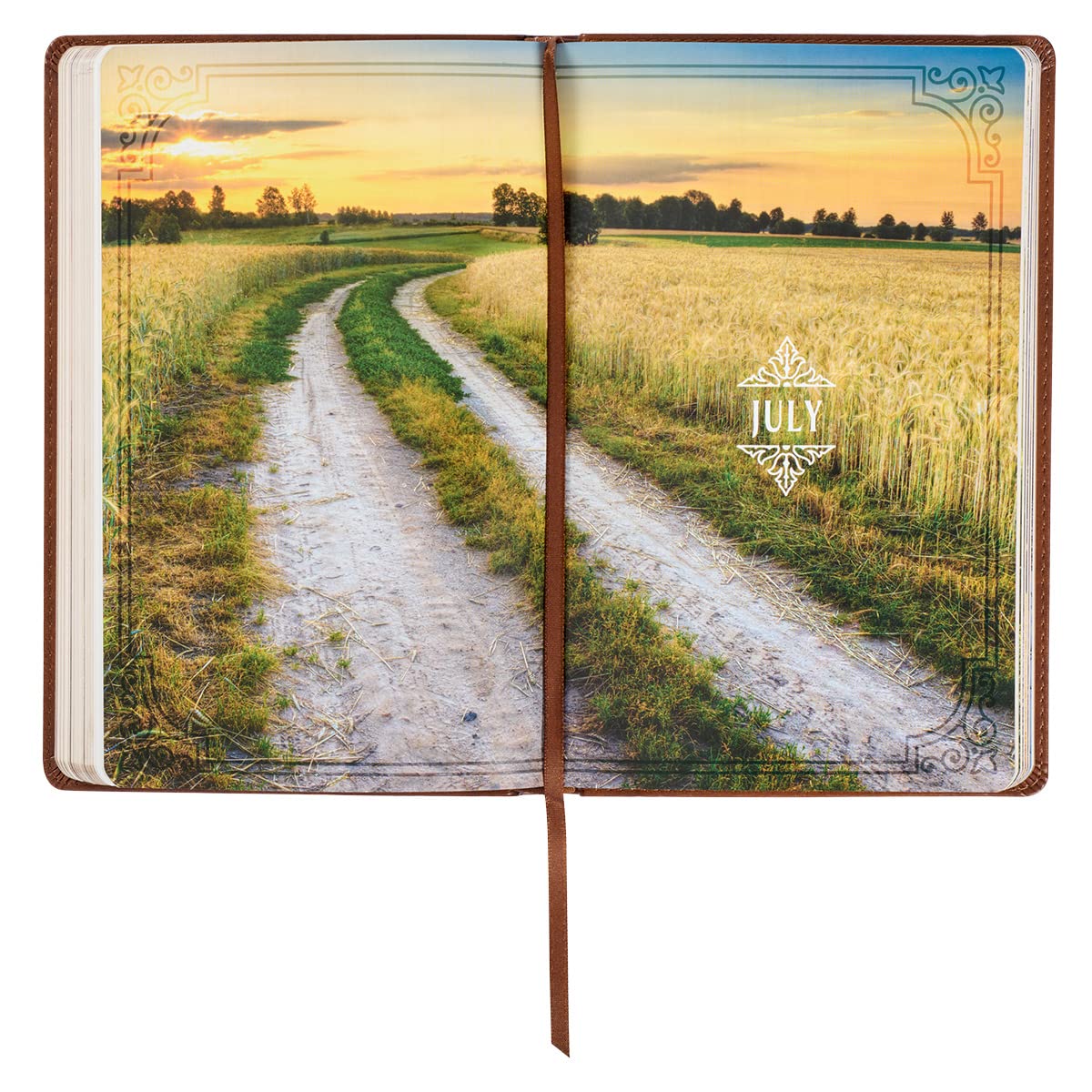 Walking with God 365 Daily Devotions, Large Print Brown Faux Leather Imitation Leather