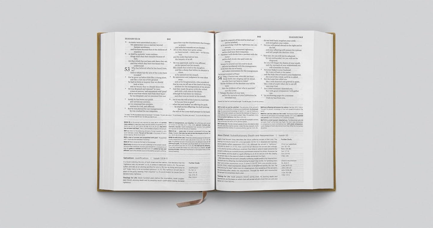 ESV Systematic Theology Study Bible: Theology Rooted in the Word of God