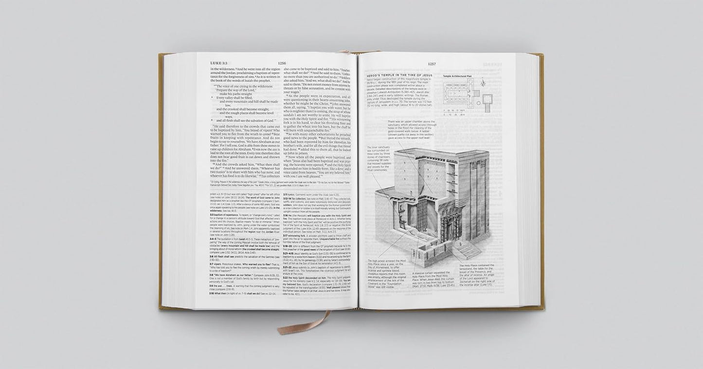 ESV Systematic Theology Study Bible: Theology Rooted in the Word of God