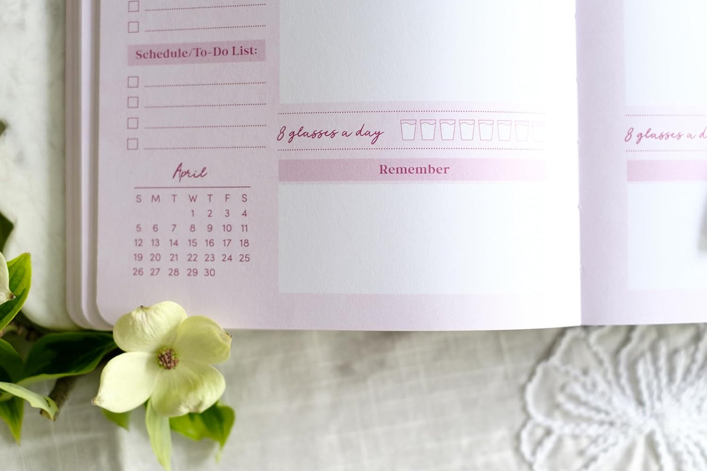 Read Through the Bible in a Year Planner: 2026 Edition
