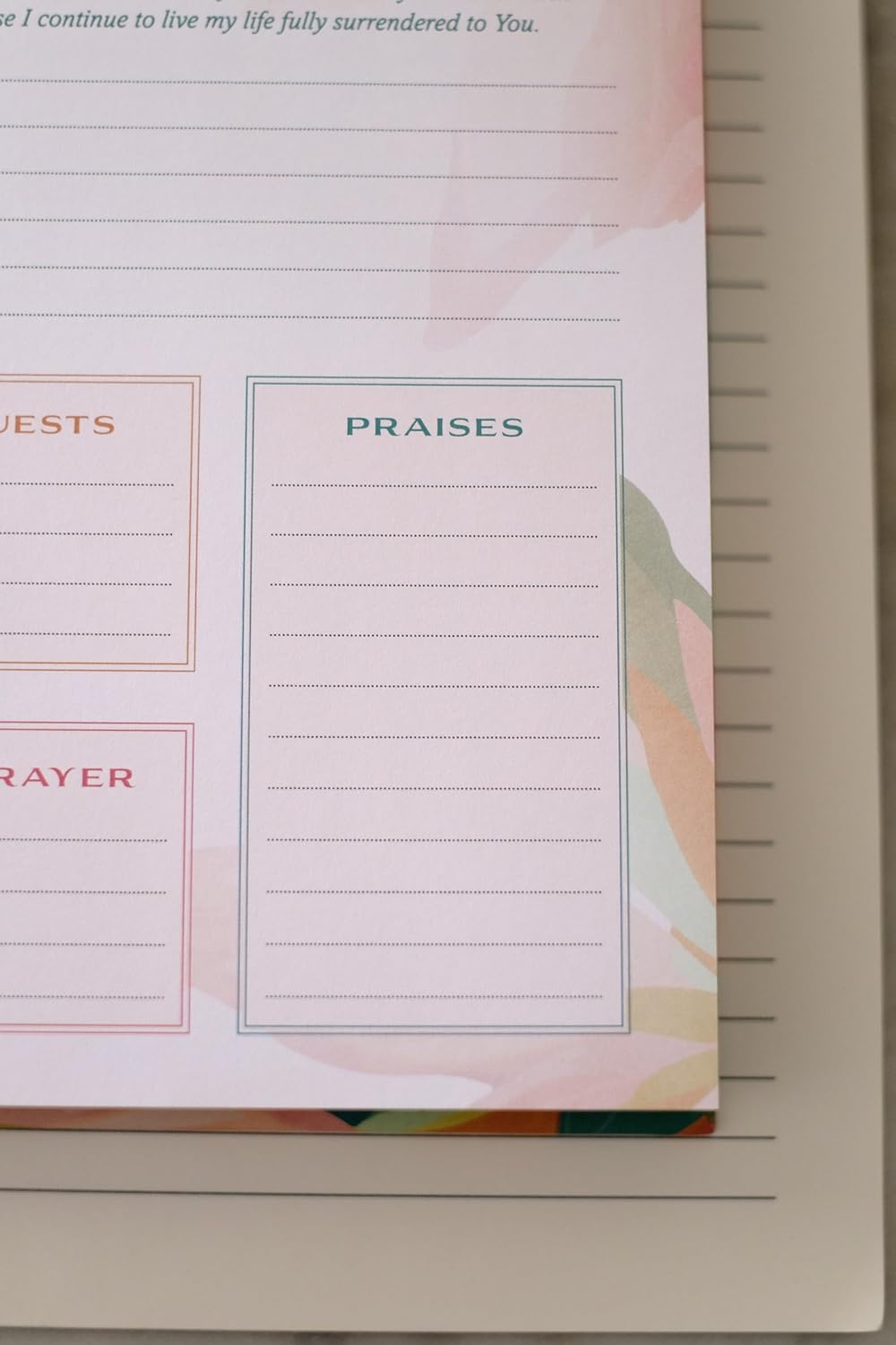 A Year of God's Goodness: A Prayer and Praise Tracker for Women