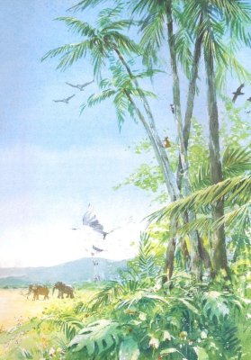 The Children's Bible in 365 Stories