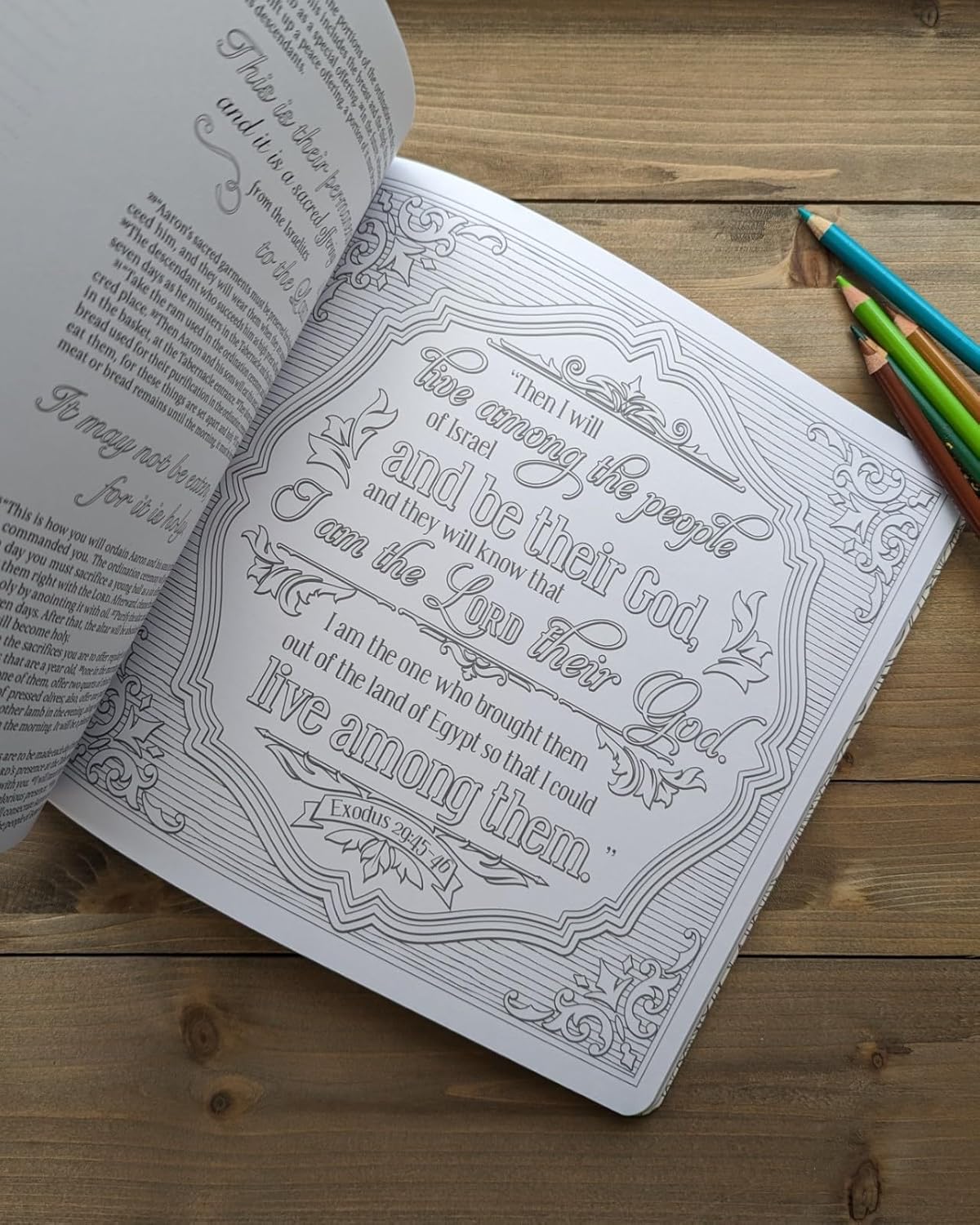 Inspire: Exodus by New Living Translation and Tyndale