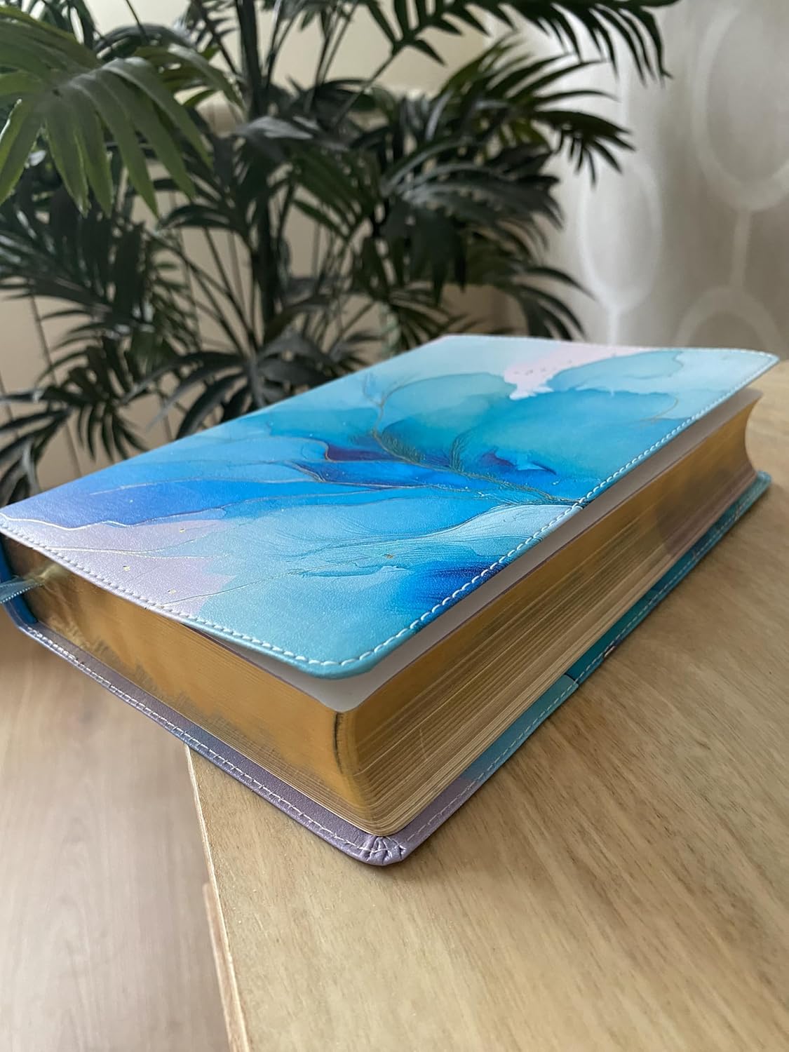 Biblia de una joven conforme al corazón de Dios-RVR60: Edición Brisa (A Young Woman After God's Own Heart Bible-RVR60-Brisa Edition (Spanish Edition) Leather