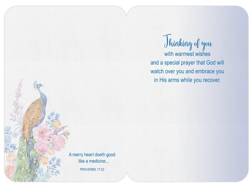Faithfully Yours GET WELL Box Cards - Song Birds
