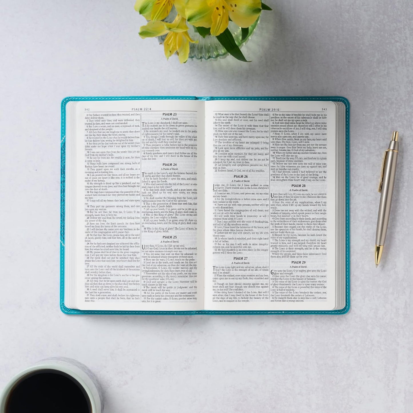 Teal Butterfly Faux Leather King James Version Gift Edition Bible