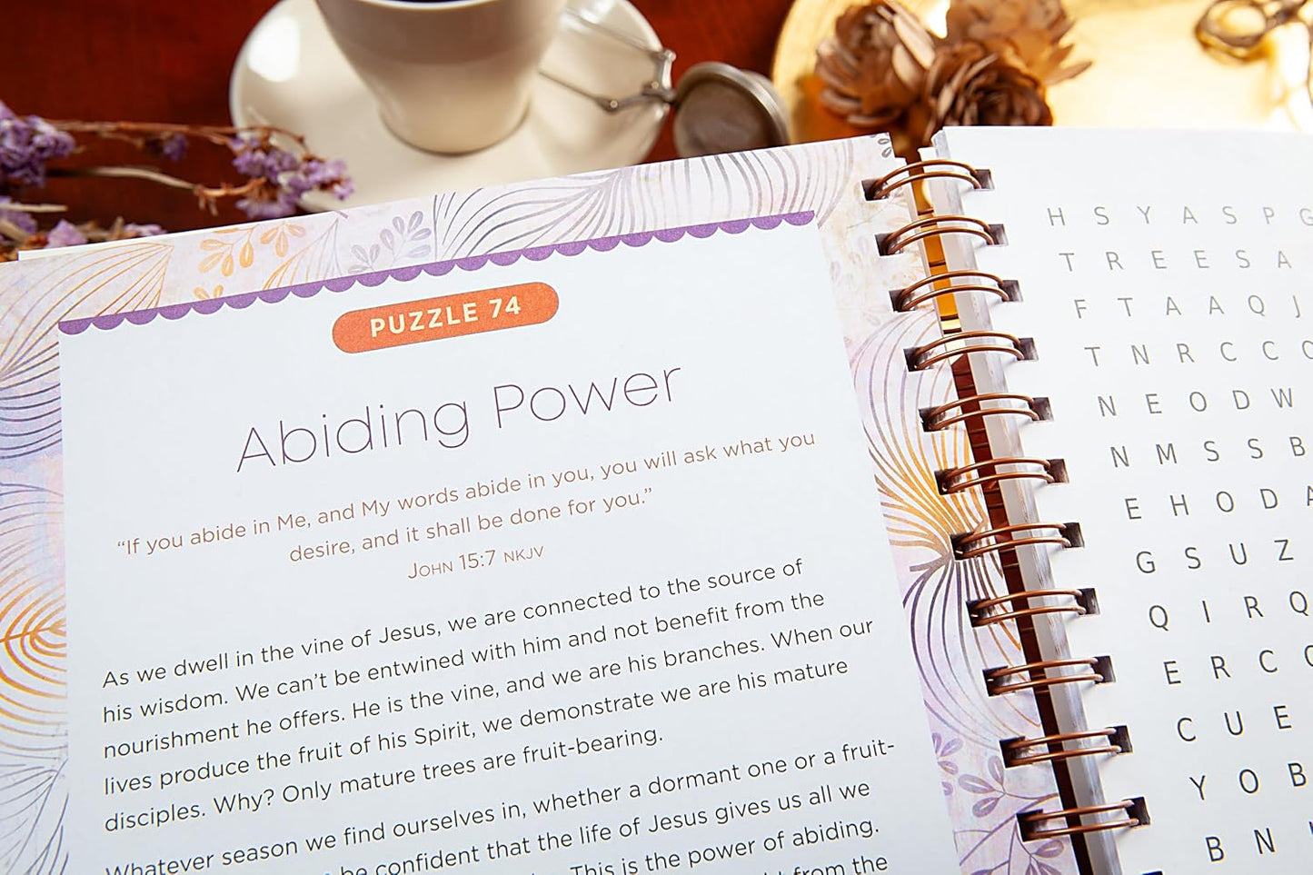 100 Meditations on the Words of Jesus: Word Search Devotional