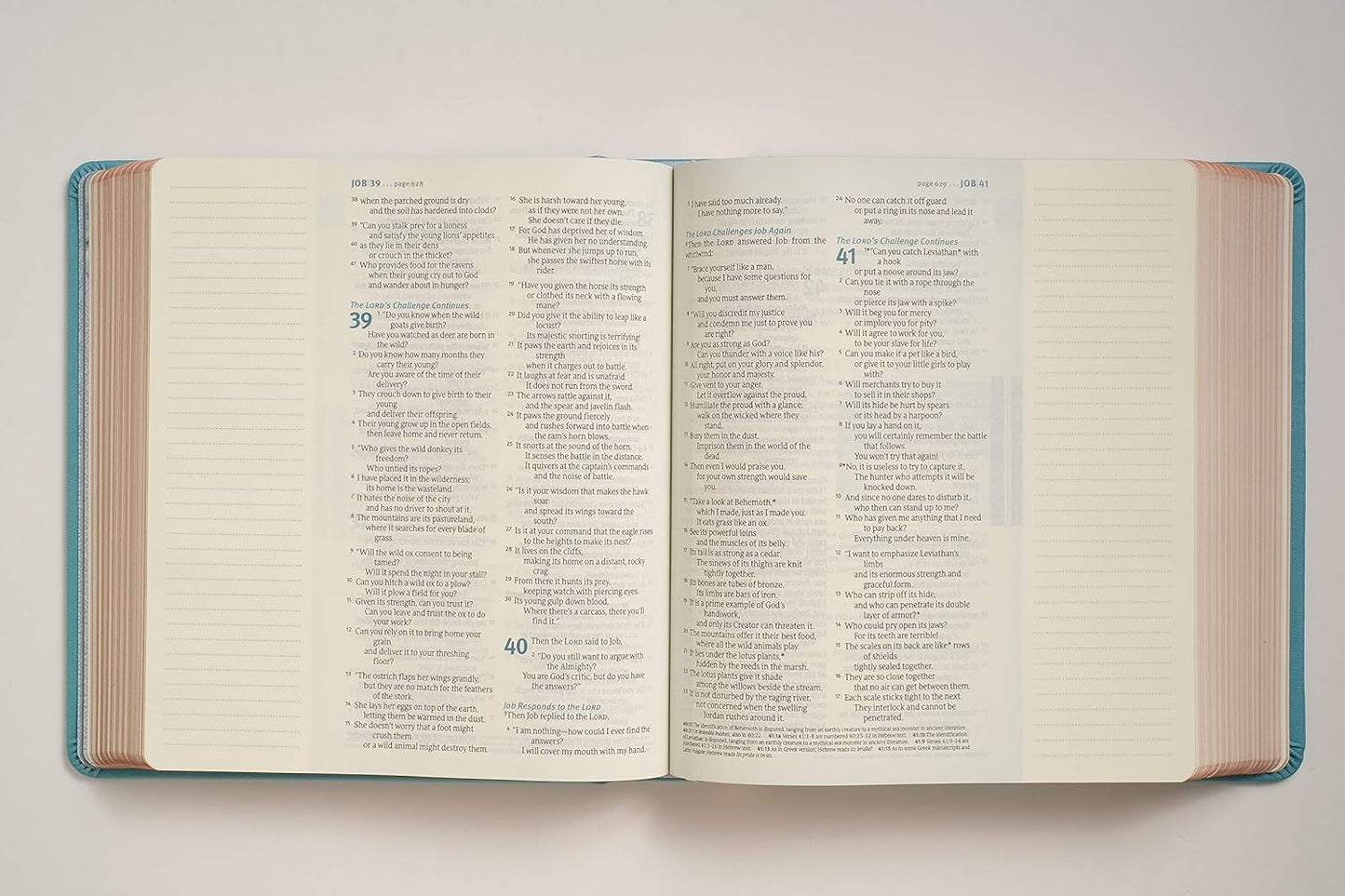 NLT THRIVE Creative Journaling Devotional Bible (Hardcover LeatherLike, Teal Blue with Rose Gold)