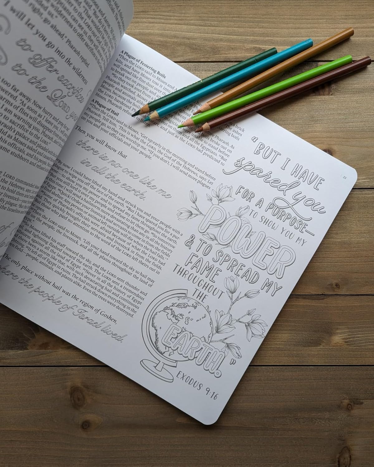 Inspire: Exodus by New Living Translation and Tyndale
