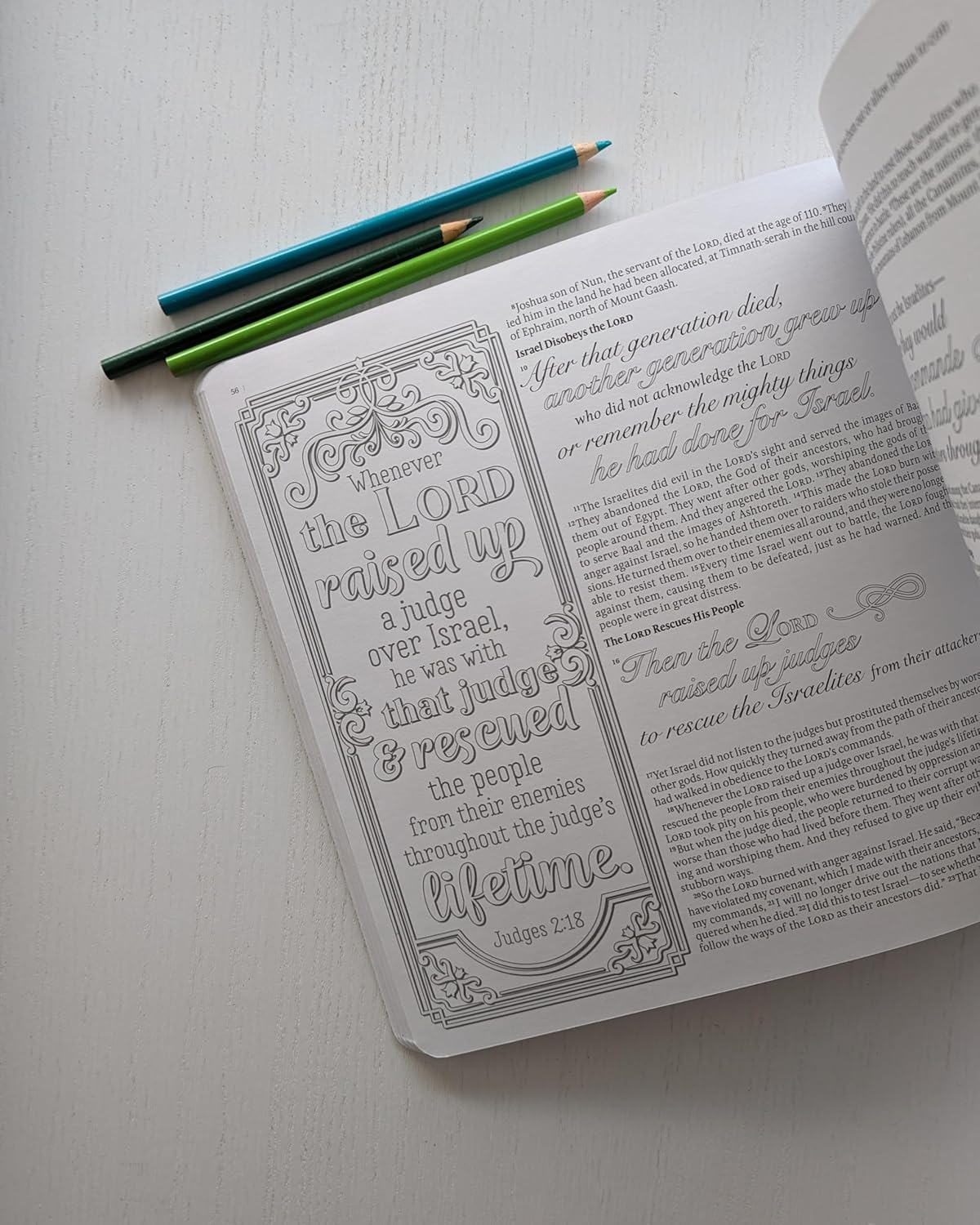 Inspire: Joshua, Judges & Ruth By: Tyndale