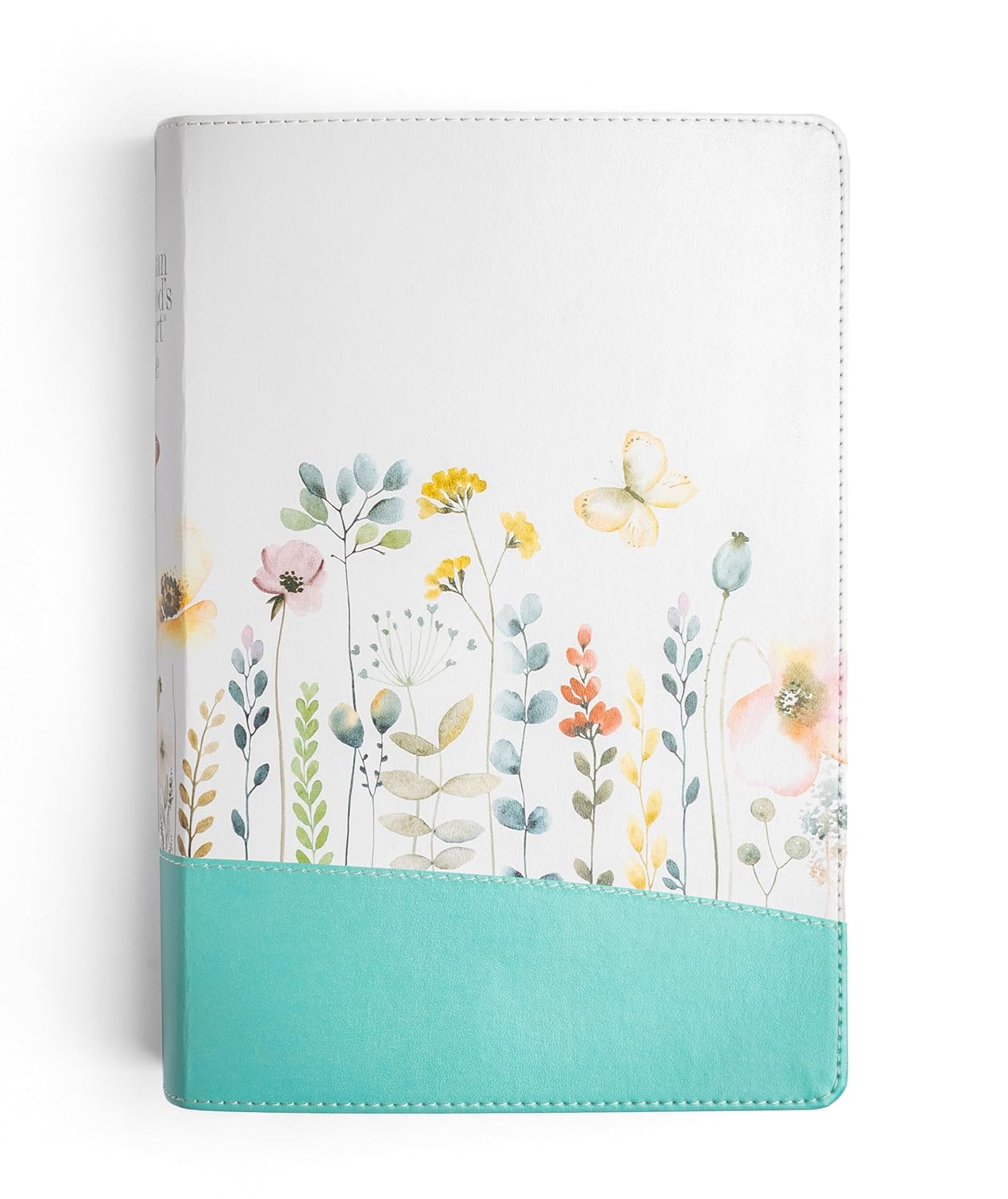 A Woman After God's Own Heart Bible