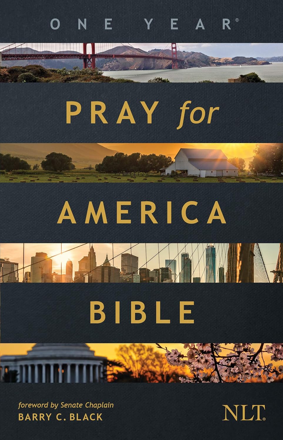 The One Year Pray for America Bible NLT