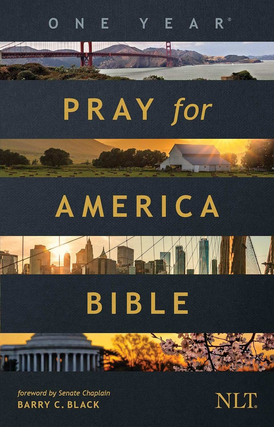 The One Year Pray for America Bible NLT