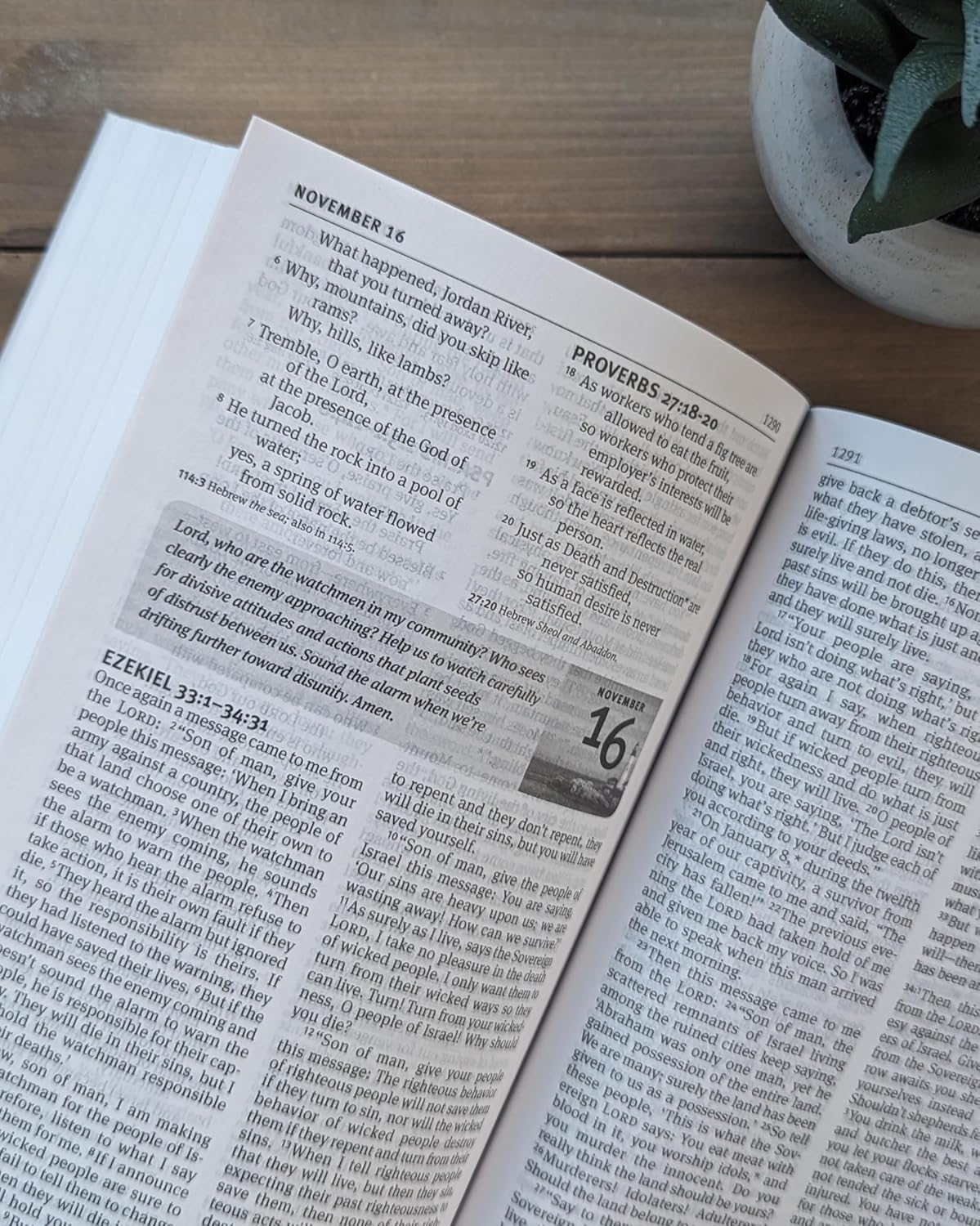 The One Year Pray for America Bible NLT