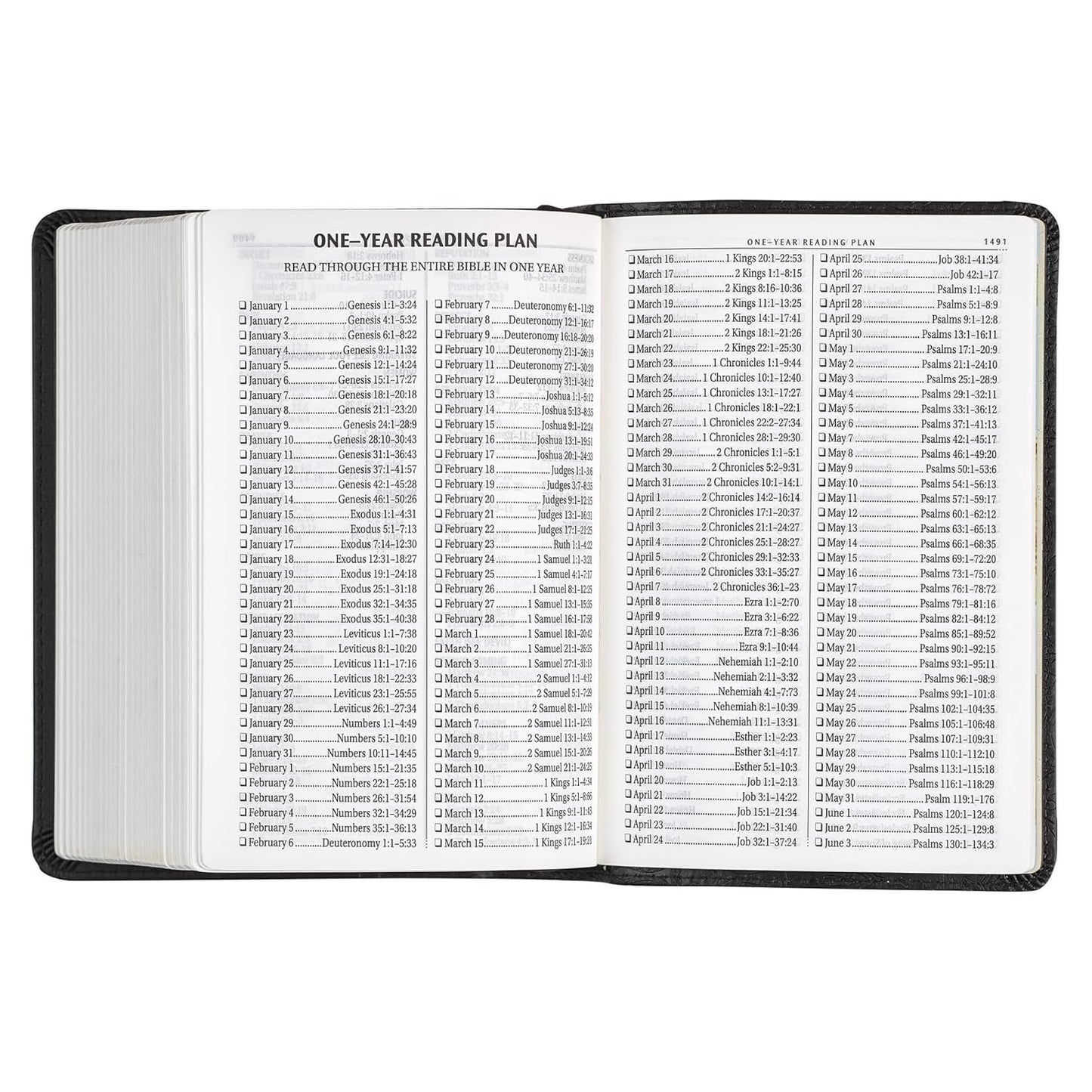 Black Faux Leather Large Print Compact King James Version Bible