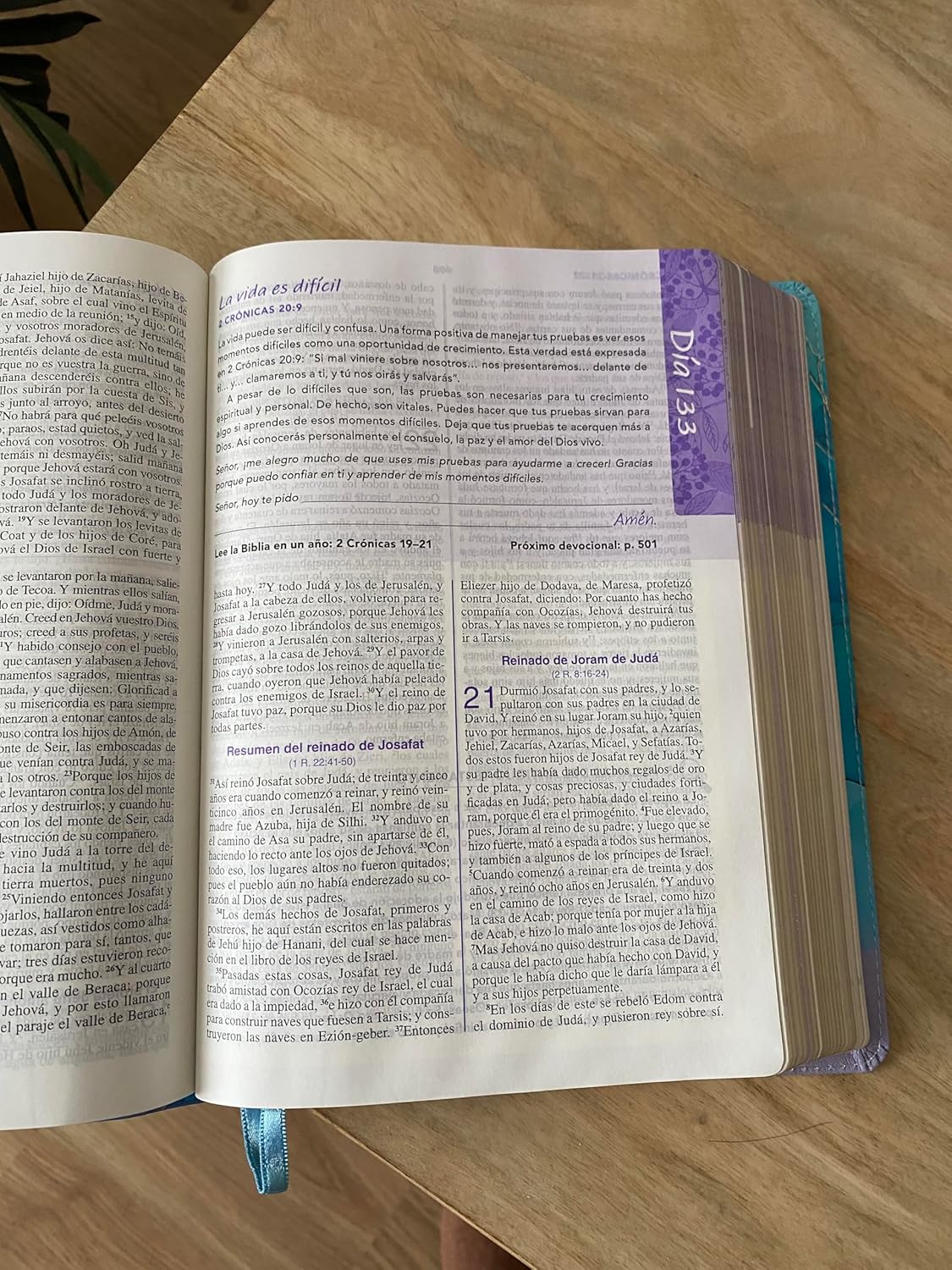 Biblia de una joven conforme al corazón de Dios-RVR60: Edición Brisa (A Young Woman After God's Own Heart Bible-RVR60-Brisa Edition (Spanish Edition) Leather