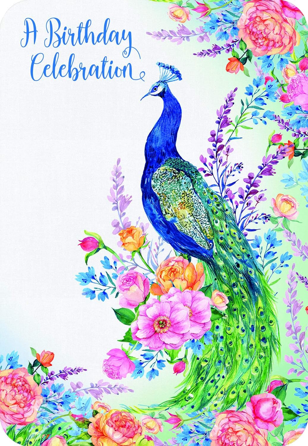 Faithfully Yours Birthday Box Cards - Song Birds