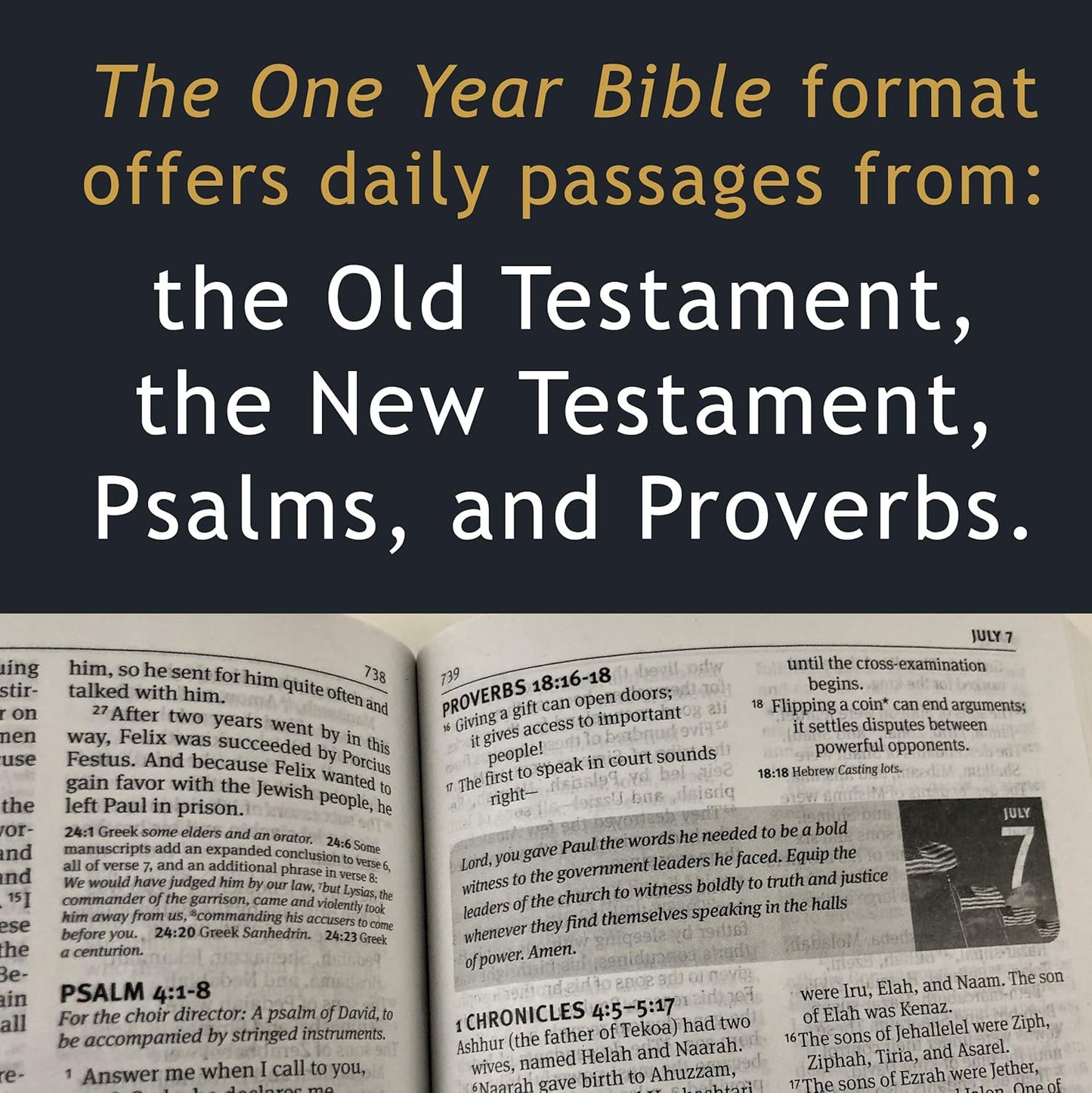 The One Year Pray for America Bible NLT