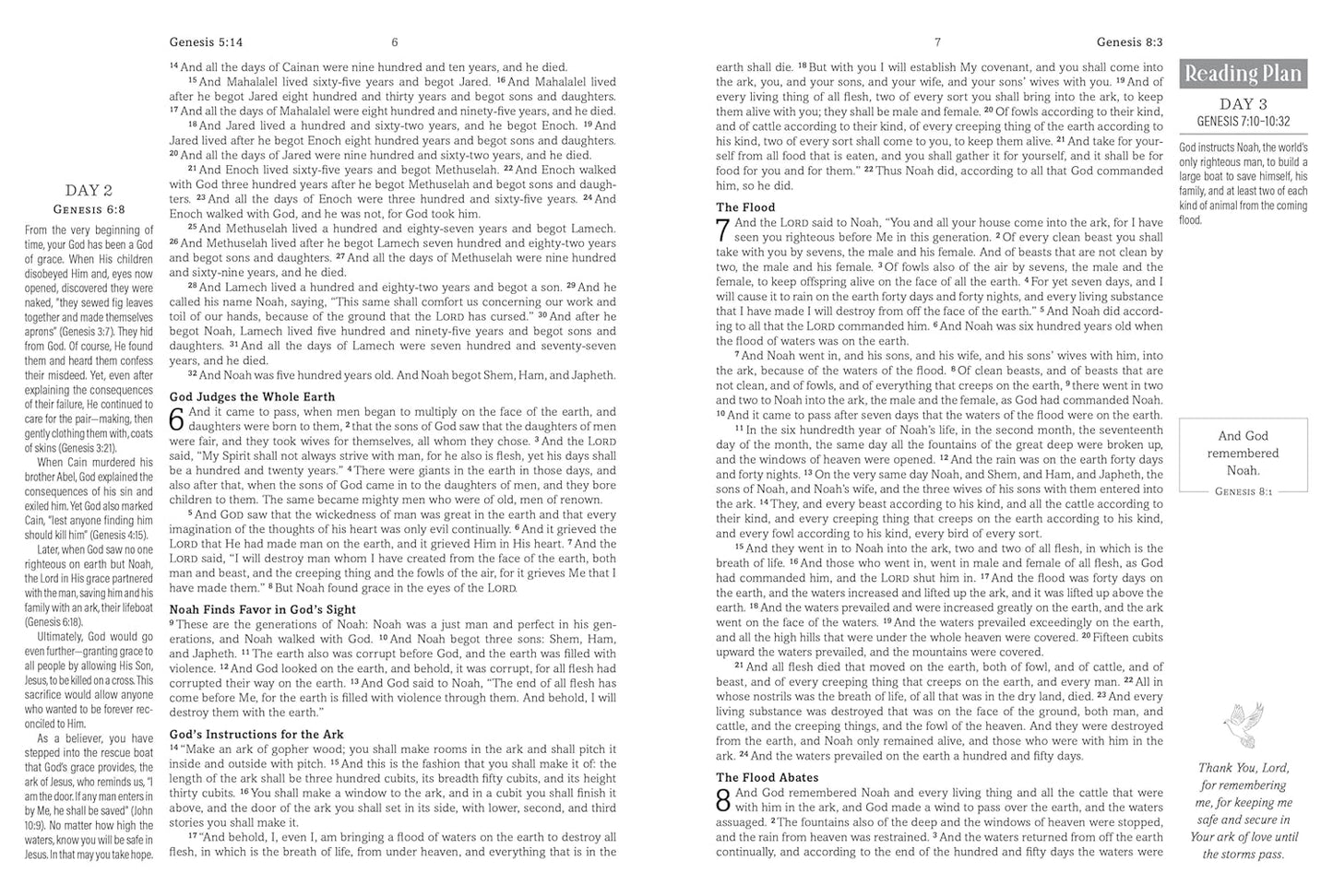 Simplified KJV Bible Hope and Healing