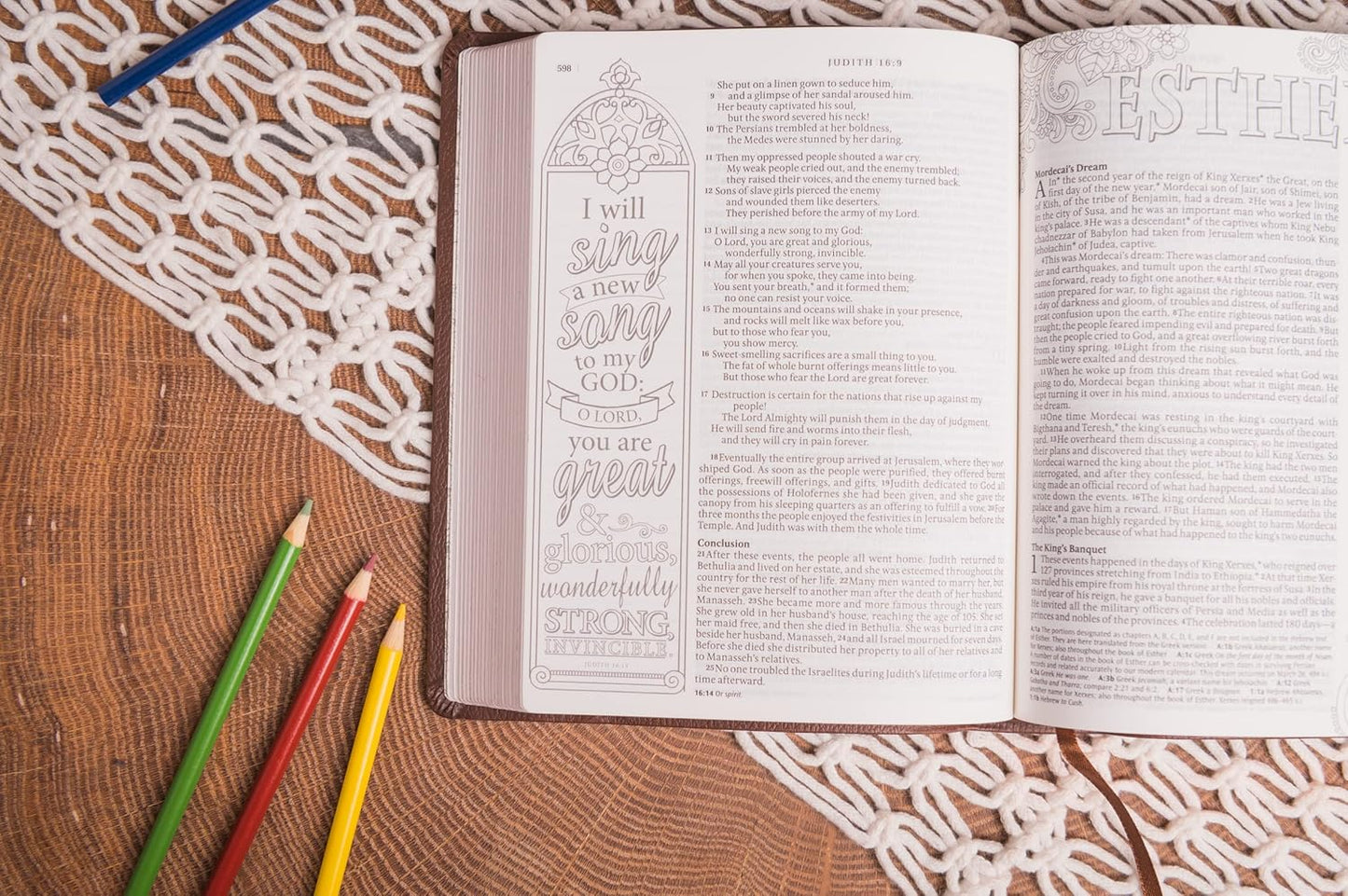 Inspire Catholic Bible NLT (LeatherLike, Dark Brown): The Bible for Coloring & Creative Journaling Imitation Leather